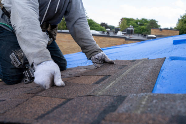 Best Tile Roofing Contractor  in Canton, TX